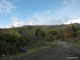 rderia-18-11-2012 12-21-07